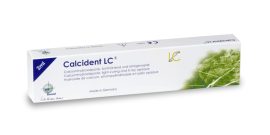 Calcident LC 2x2ml